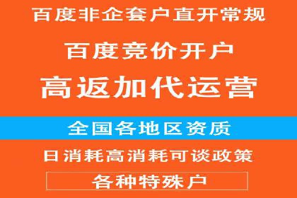 揭秘百度推广：成功案例背后的秘诀